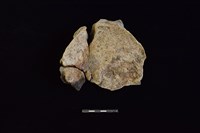 陶片藏品圖，第2張